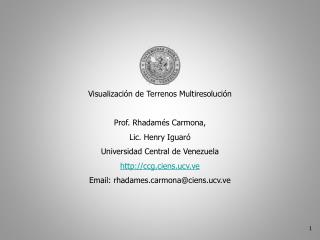 Visualización de Terrenos Multiresolución Prof. Rhadamés Carmona, Lic. Henry Iguaró