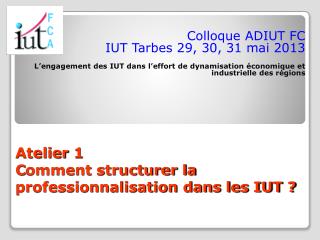 Atelier 1 C omment structurer la professionnalisation dans les IUT ?