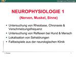 NEUROPHYSIOLOGIE 1 Nerven, Muskel, Sinne