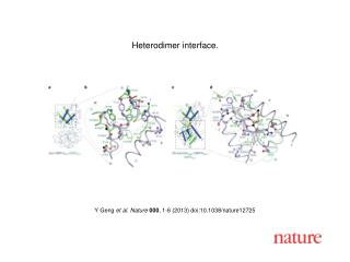Y Geng et al. Nature 000 , 1-6 (2013) doi:10.1038/nature12725