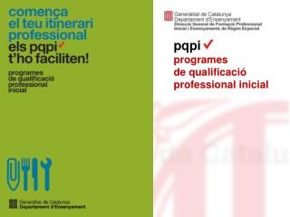 pqpi programes de qualificació professional inicial