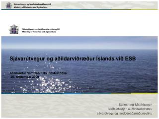 Steinar Ingi Matthíasson Skrifstofustjóri auðlindaskrifstofu sávarútvegs og landbúnaðarráðuneytinu