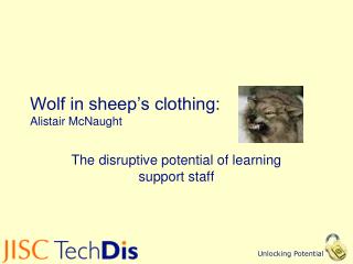 Wolf in sheep’s clothing: Alistair McNaught