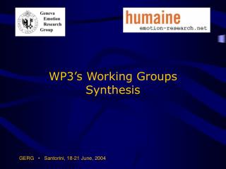 WP3’s Working Groups Synthesis