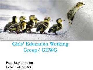 Girls’ Education Working Group/ GEWG