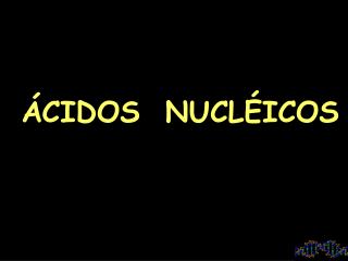 ÁCIDOS NUCLÉICOS