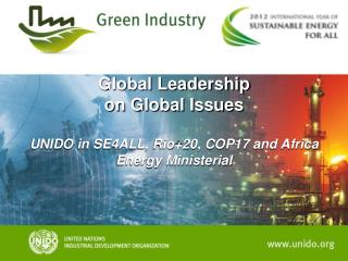 Global Leadership on Global Issues UNIDO in SE4ALL, Rio+20, COP17 and Africa Energy Ministerial