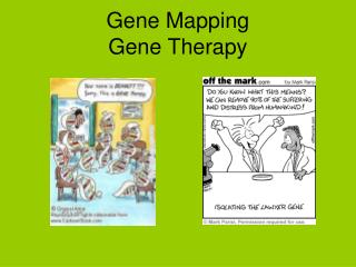 Gene Mapping Gene Therapy