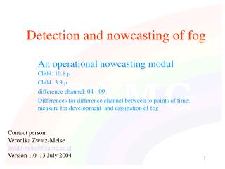 Detection and nowcasting of fog