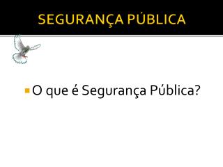 O que é Segurança Pública ?