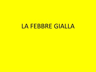 LA FEBBRE GIALLA