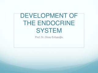 DEVELOPMENT OF THE ENDOCRINE SYSTEM