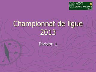 Championnat de ligue 2013
