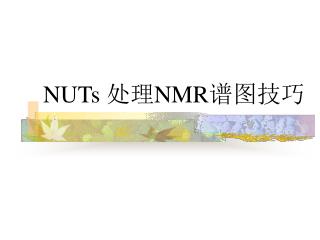 NUTs 处理 NMR 谱图技巧