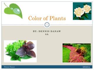 Color of Plants