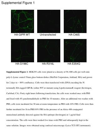 Supplemental Figure 1