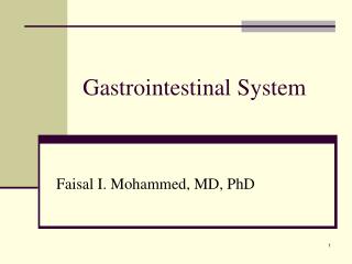 PPT - Nursing Assessment: Gastrointestinal System PowerPoint ...