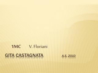 Gita Castagnata a.s. 2010