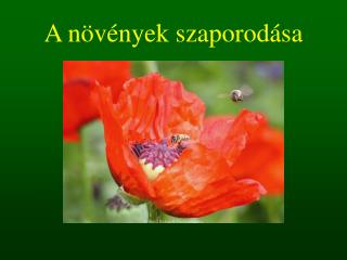 A növények szaporodása