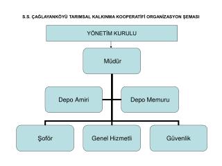 S.S. ÇAĞLAYANKÖYÜ TARIMSAL KALKINMA KOOPERATİFİ ORGANİZASYON ŞEMASI