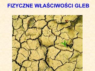 FIZYCZNE WŁAŚCIWOŚCI GLEB