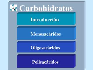 Carbohidratos