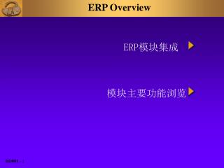 ERP Overview