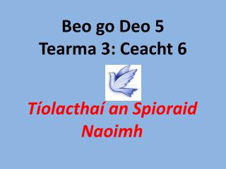 Beo go Deo 5 Tearma 3: Ceacht 6