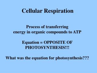 Cellular Respiration