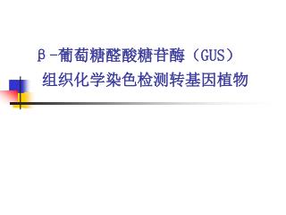 β- 葡萄糖醛酸糖苷酶（ GUS） 组织化学染色检测转基因植物