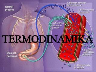 TERMODINAMIKA