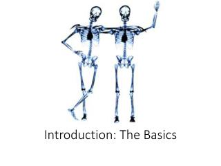 Introduction: The Basics