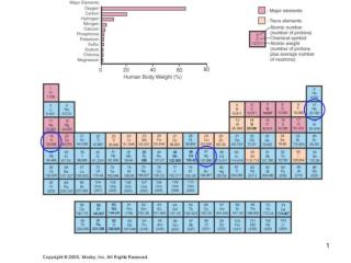 Using the Periodic Table