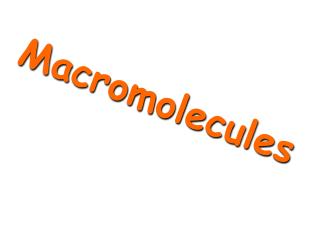 Macromolecules