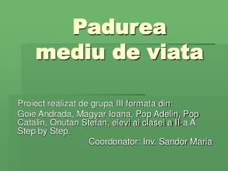 Padurea mediu de viata