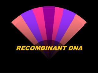 RECOMBINANT DNA