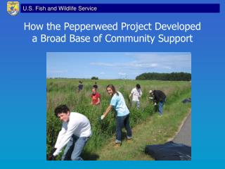 How the Pepperweed Project Developed a Broad Base of Community Support