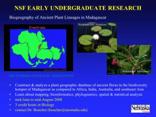 NSF EARLY UNDERGRADUATE RESEARCH