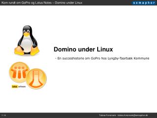 Domino under Linux