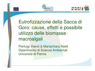 La crescita di Ulva è in relazione con la disponibilità di azoto