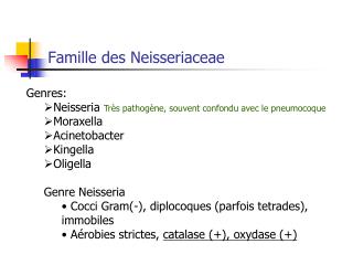 Famille des Neisseriaceae