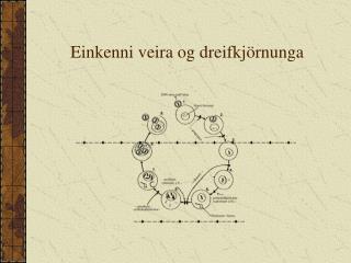 Einkenni veira og dreifkjörnunga