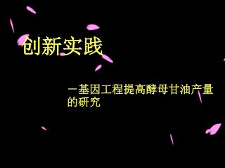 创新实践