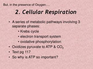 2. Cellular Respiration