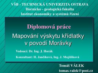 Diplomová práce