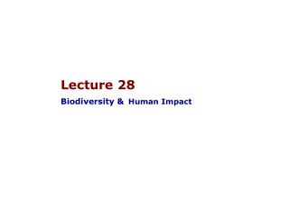 Lecture 28 Biodiversity & Human Impact