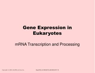 Gene Expression in Eukaryotes