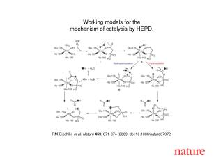 RM Cicchillo et al. Nature 459 , 871-874 (2009) doi:10.1038/nature07972