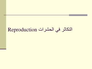 التكاثر في الحشرات Reproduction