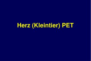 Herz (Kleintier) PET